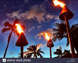Flaming Tiki Torches And Palm Trees Against A Tropical Azure
