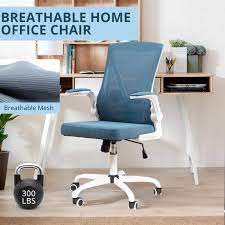 Fenbao Ergonomic Blue Mesh Chair