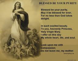 BLESSED BE YOUR PURITY | Blessed, Blessed mother, Greatful