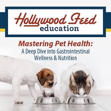 mastering pet health a deep dive into