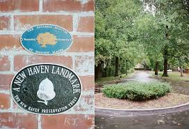 venue profile new haven lawn club in