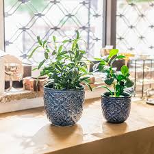 2 pack ceramic plant pots indoor