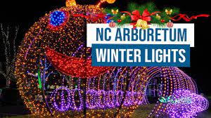 nc arboretum winter lights you