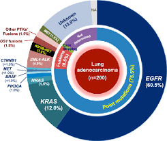 A Summary Of The Mutational Profiles Of 200 Lung