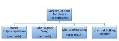 Surgery For Female Urinary Incontinence Dr Marcus Carey