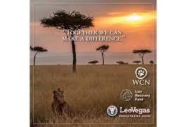 With the aim of doubling the lion population by 2050, we are supporting the wildlife conservation network's lion. Leovegas Group Donated 10 000 Euro To The Lion Recovery Fund Games Magazine Brasil