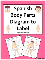 Other companies help us manufacture while others ask what's our discount? Spanish Body Parts Diagram To Label With 20 Body Parts Teaching Resources