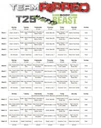 body beast hybrids p90x3 and t25