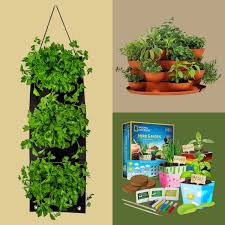 8 best indoor herb garden kit options
