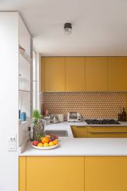 u shaped kitchens designed by architects