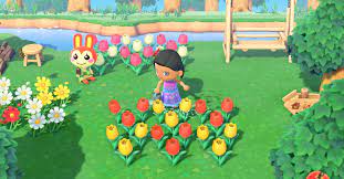 Here you will find a variety of different tasks you can do here on the animal crossing wiki. I Am Not At All Relaxed By Animal Crossing New Horizons Wired