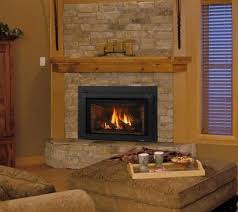 Excursion Iii Gas Fireplace Insert