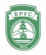Резултат слика за Opština Brus logo