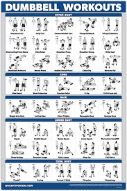 dumbbell workout exercise poster home