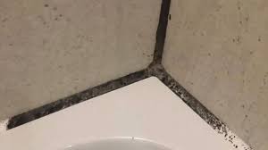 making mouldy bathroom tiles