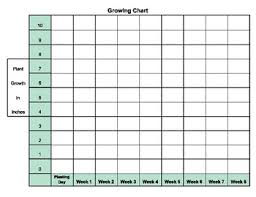 Measuring Plant Growth Chart Worksheets Teaching Resources