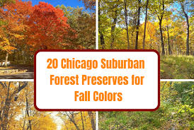 Chicago Suburbs Forest Preserves