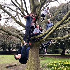 tree climbing for all ages