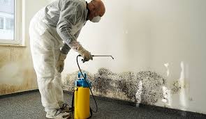 Mold Remediation In Ri What To Know