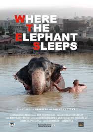 the elephant sleeps