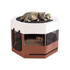 See all the insulated cat houses for outside for your cat. Hicaptain Outdoor Cat House Feral Cat Shelter Escape Door Waterproof Insulated Two Story Cat Doors Enclosures Steps Cats