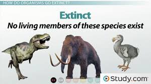 Differences Between Endangered Species And Threatened Species