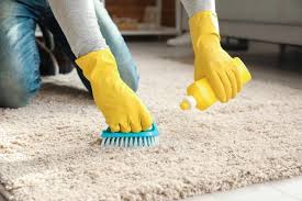 carpet cleaning services the blue waves