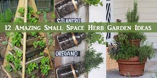 amazing small space herb garden ideas