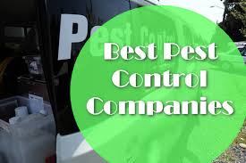 Earthwise pest management is a local family owned and operated company. 4 Best Pest Control Companies In The Us Man Vs Pest