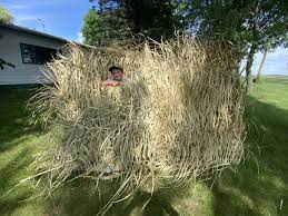 a frame duck blind