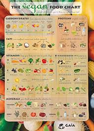 Gaia Shop The Vegan Food Chart All Nutrient Rich Foods For Vegan Diet Deluxe Glossy Laminated Poster 60 X 40 Cm