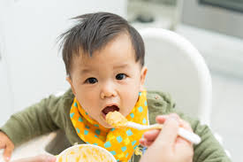 Starting Solids At 6 Months Baby Food Vs Baby Led Weaning
