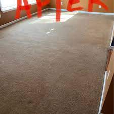 carpet cleaning near downriver