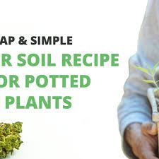 super soil recipe for potted plants
