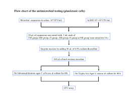 Flow Chart Of The Antimicrobial Testing Planktonic Cells