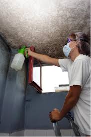 How To Deal With Mold On Drywall Utah