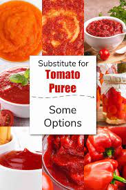 tomato puree subsutes savor savvy