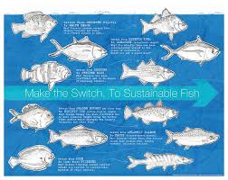 Fish Friday Sustainable Fish Infographic Poster