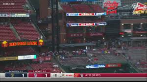 st louis cardinals increase fan