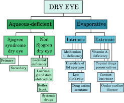 3 major etiological causes of dry eye
