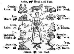 Recipes Healthy Body Rulership In Astrology Daily Fitness