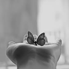 ml80-butterfly-love-in-hand-animal-bw ...