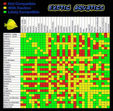 Fish Compatibility Chart Exotoc Aquatics Salt Water Fish