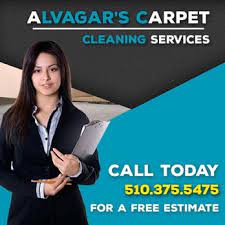alars carpet cleaning services 29