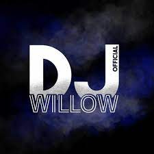 stream dj willow official