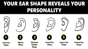 ear shape personality test your ears