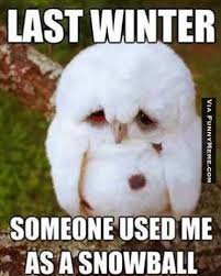 The Best Winter Memes Collection - Winter Sucks! via Relatably.com