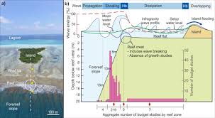 sustained c reef growth in the