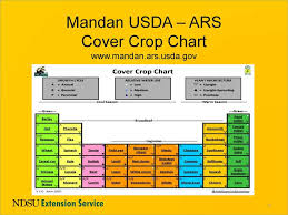 Soil Health Cover Crops Relay Cropping Pdf