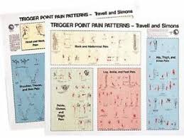 Trigger Point Pain Patterns Wall Charts By David G Simons Janet G Travell Fold Out Book Or Chart 1994